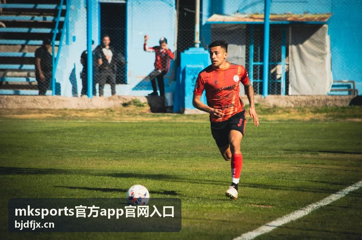 mksports官方app官网入口更新中断后的回退处理示意