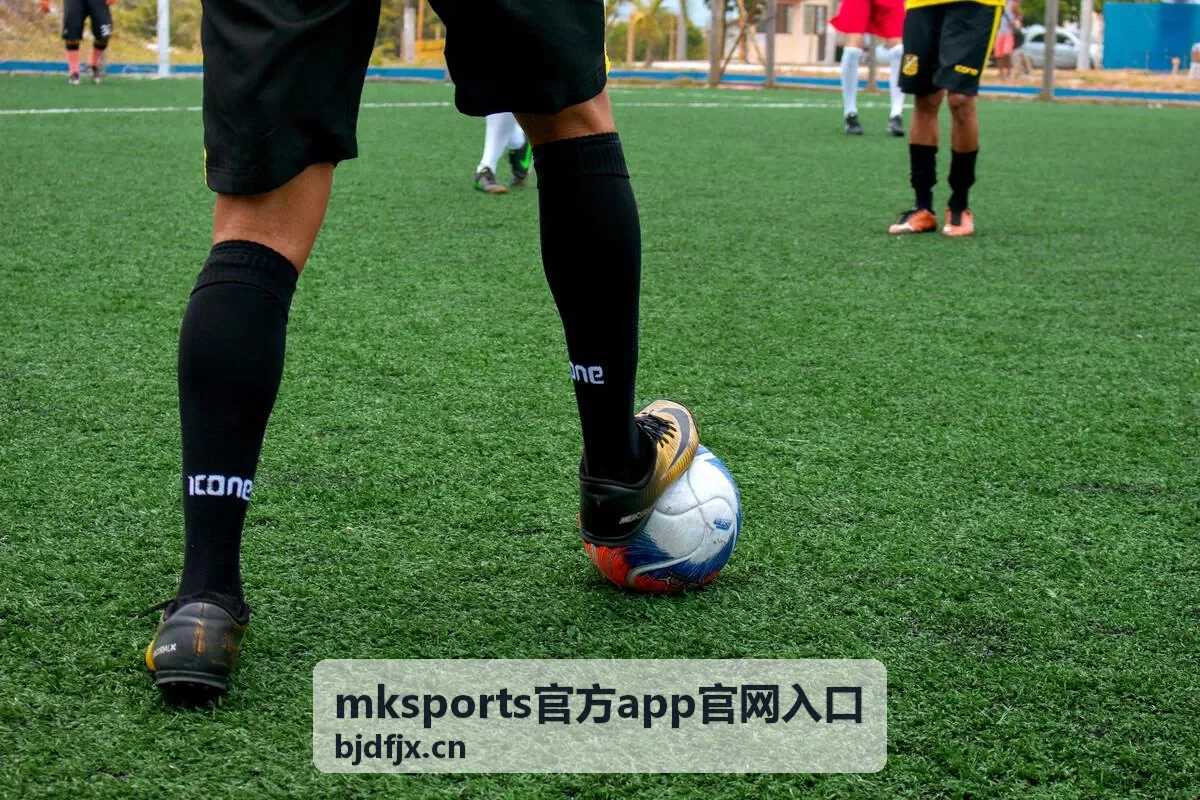 mksports官方app官网入口安全设置与验证码保护说明